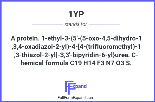Full form of 1YP