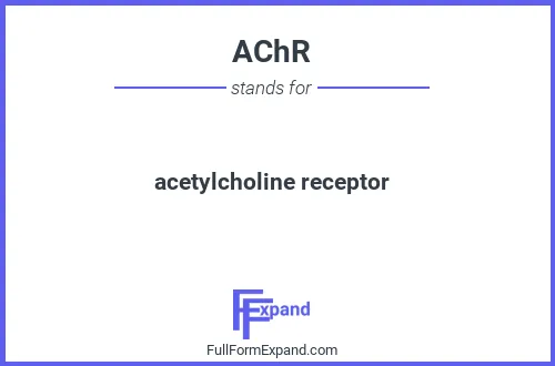 Full form of AChR