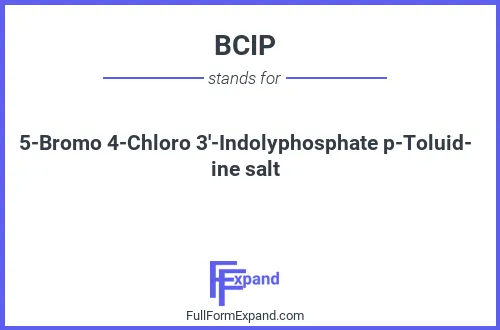 Full form of BCIP