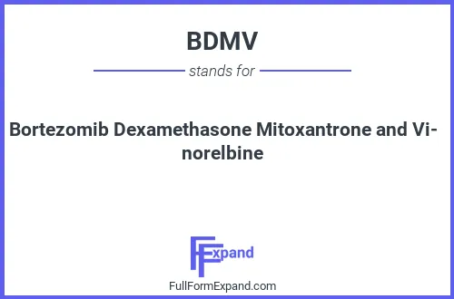 Full form of BDMV