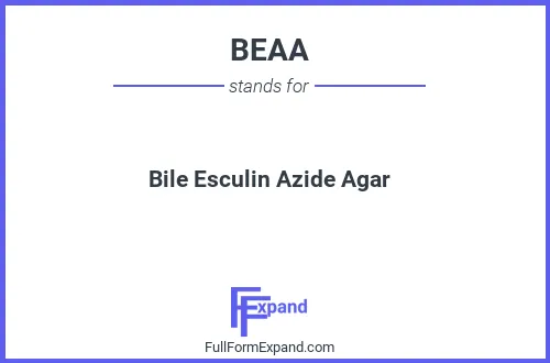 Full form of BEAA