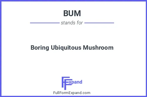 Full form of BUM