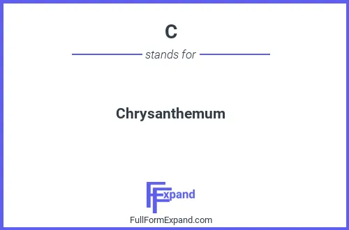 Full form of C