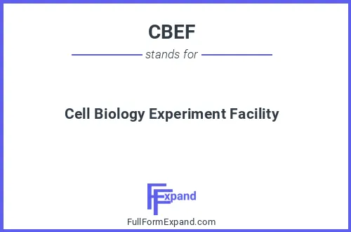 Full form of CBEF