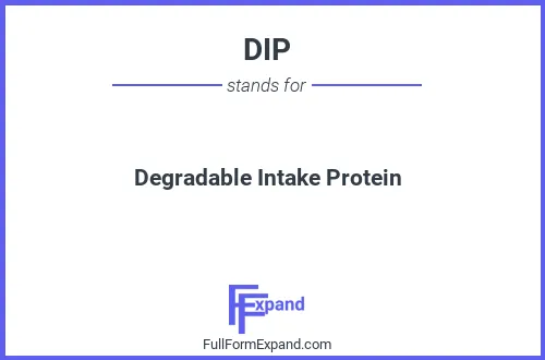 Full form of DIP