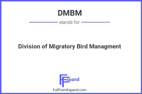 Full form of DMBM