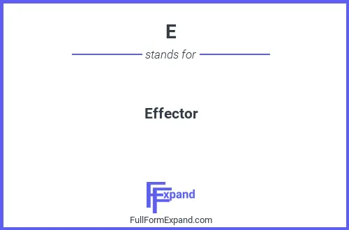 Full form of E