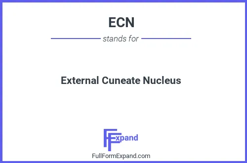 Full form of ECN