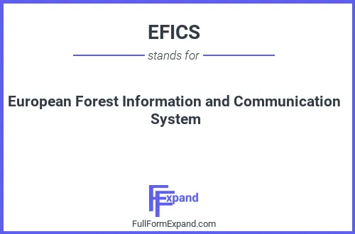 Full form of EFICS
