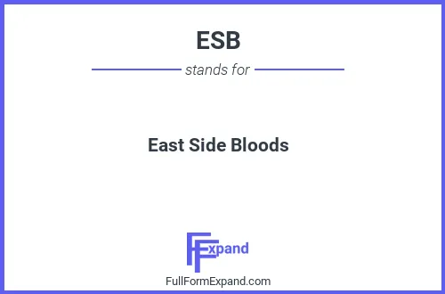 Full form of ESB