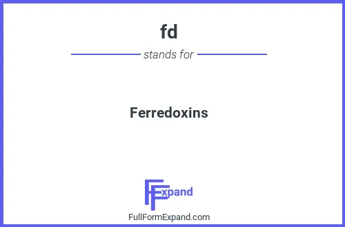 Full form of fd