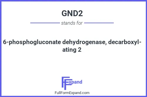 Full form of GND2