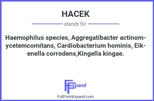 Full form of HACEK