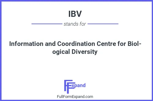 Full form of IBV