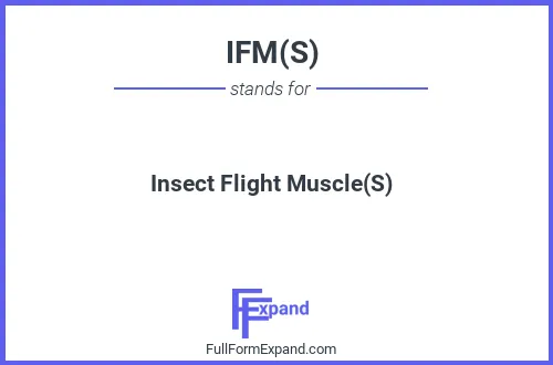 Full form of IFM(S)