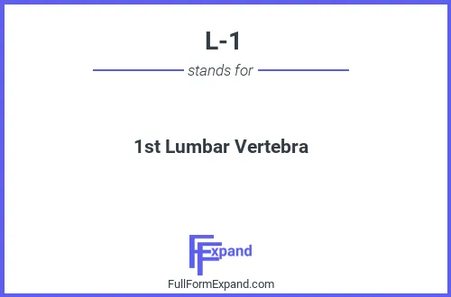 Full form of L-1