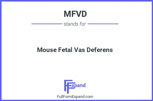 Full form of MFVD