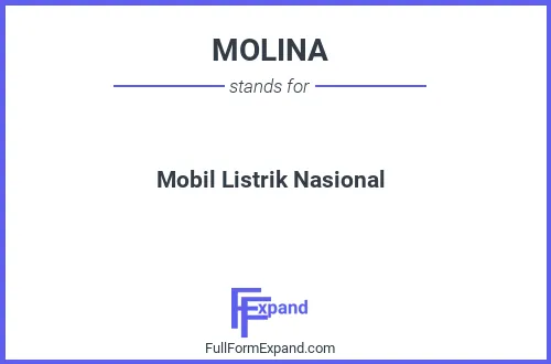 Full form of MOLINA