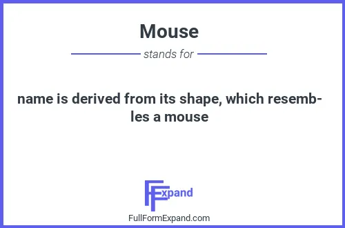 Full form of Mouse