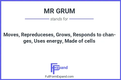 Full form of MR GRUM
