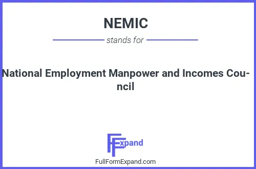 Full form of NEMIC