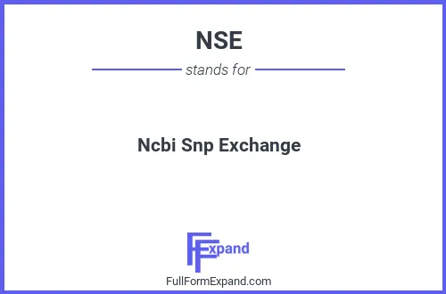Full form of NSE