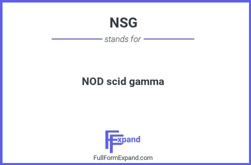 Full form of NSG