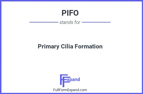 Full form of PIFO