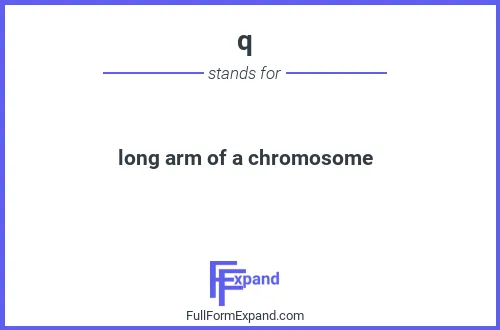 Full form of q