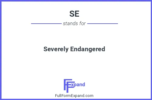 Full form of SE