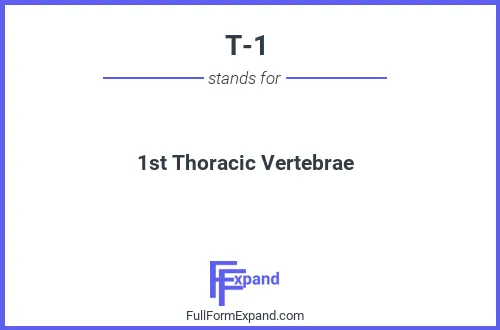 Full form of T-1