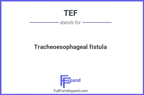 Full form of TEF