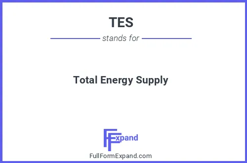 Full form of TES