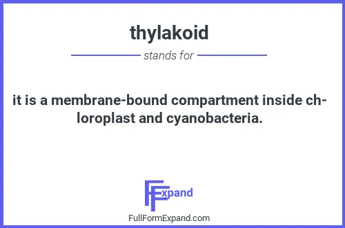 Full form of thylakoid