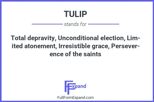Full form of TULIP