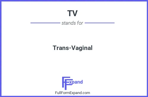 Full form of TV