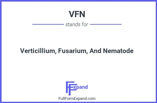 Full form of VFN