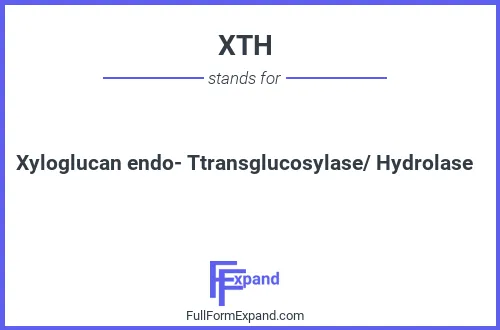 Full form of XTH